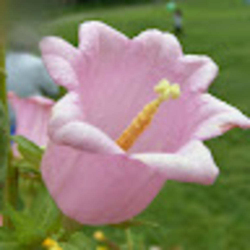 Meet your Posher, Avanoelle2805